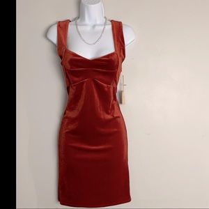 Elegant fall winter dress